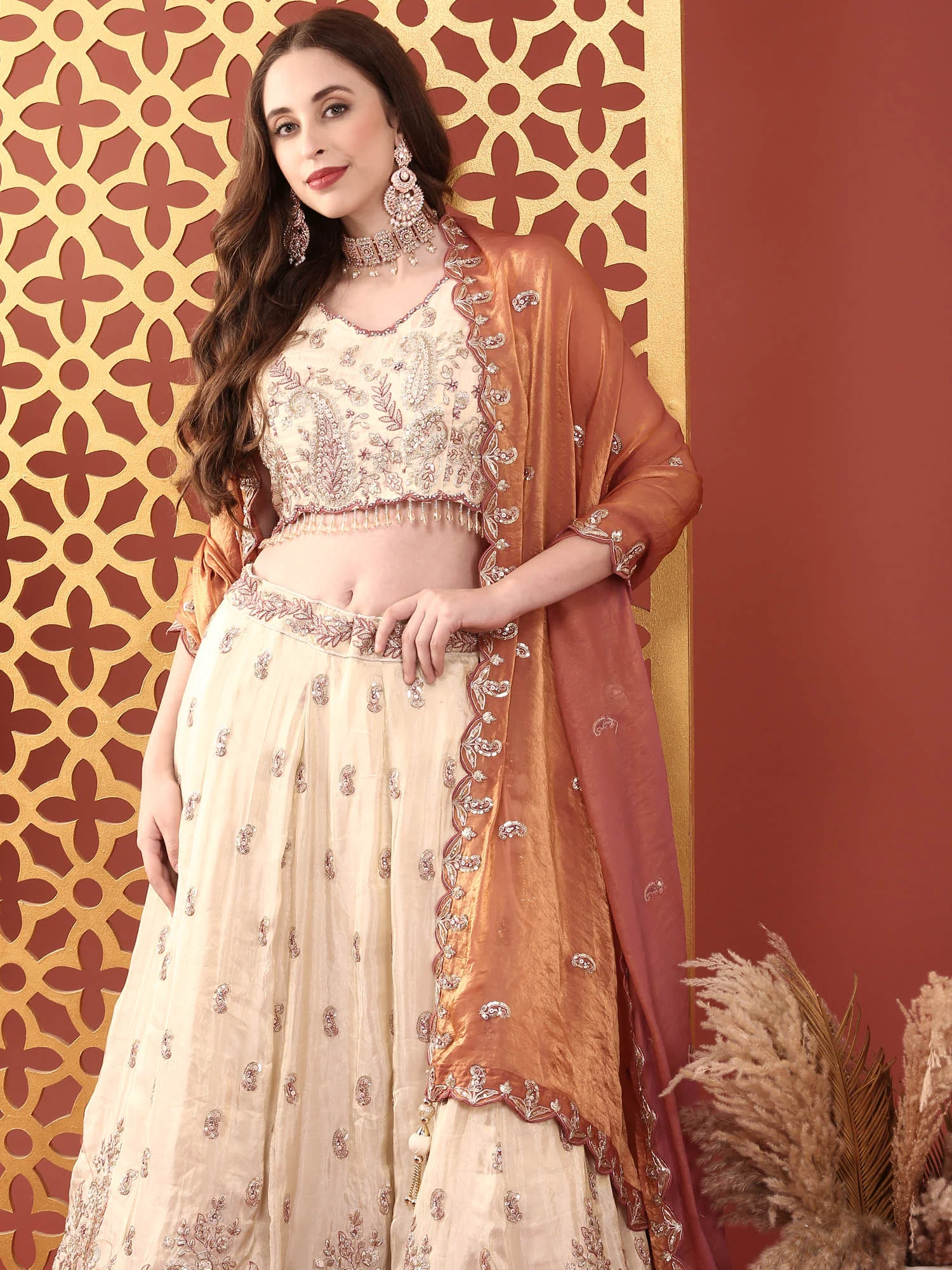 Cream Tissue With Heavy Hand Embroidery Ghagra Set - Image 7