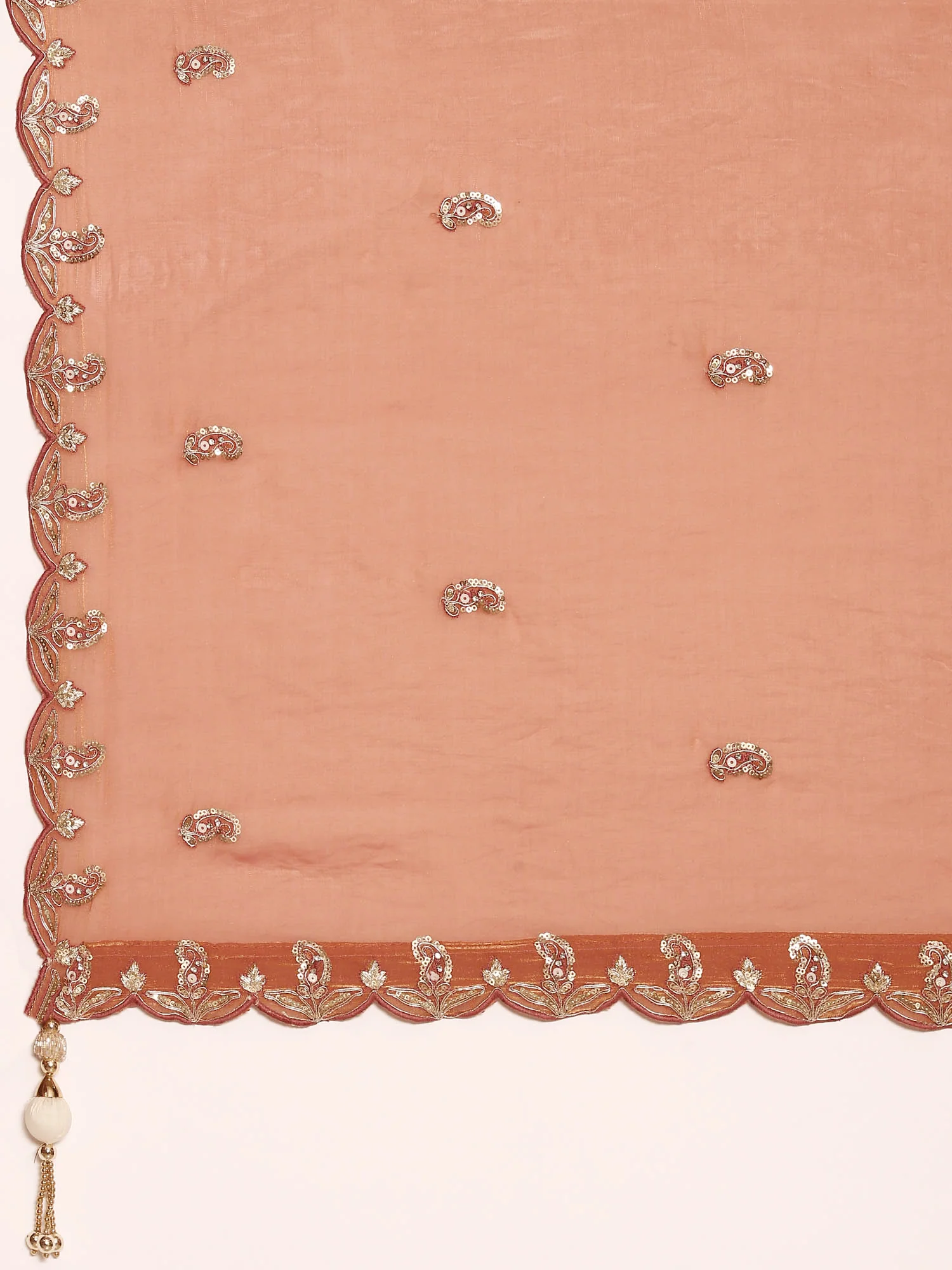 Cream Tissue With Heavy Hand Embroidery Ghagra Set - Image 9
