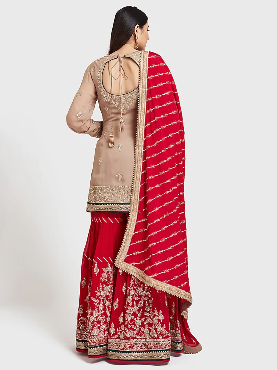 Neerus Beige Color Georgette Fabric Ghagra Set - Image 6
