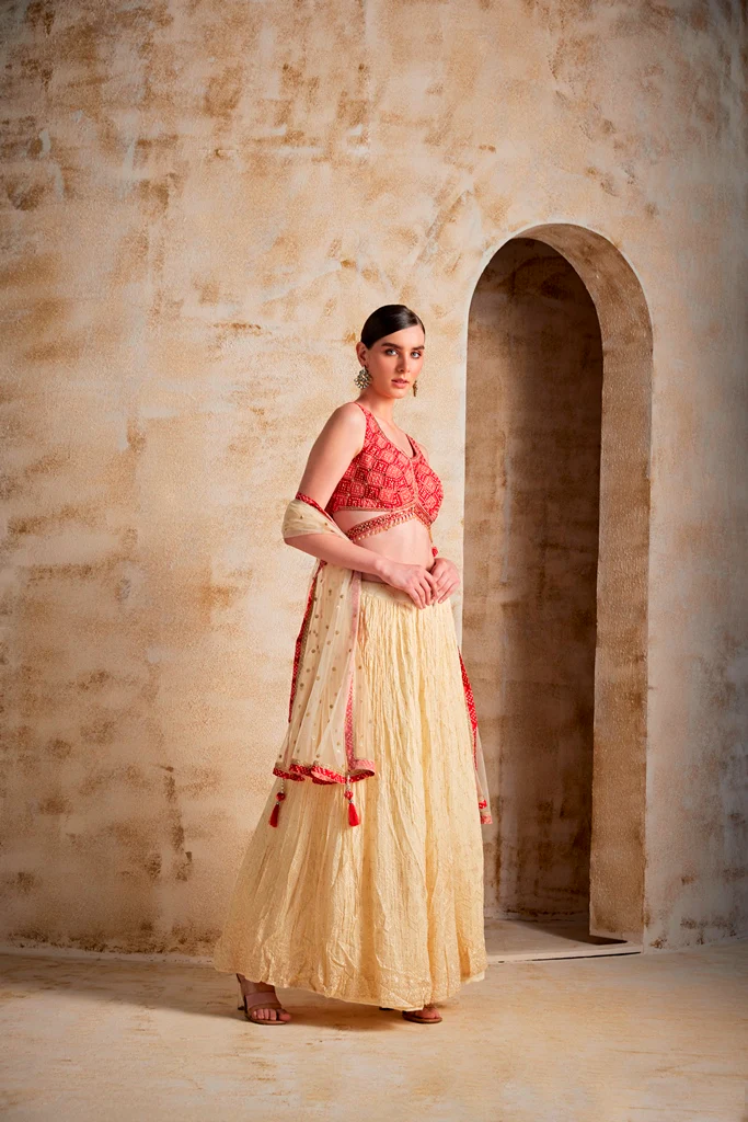 Neerus Cream Color Georgette Fabric Ghagra Set - Image 3
