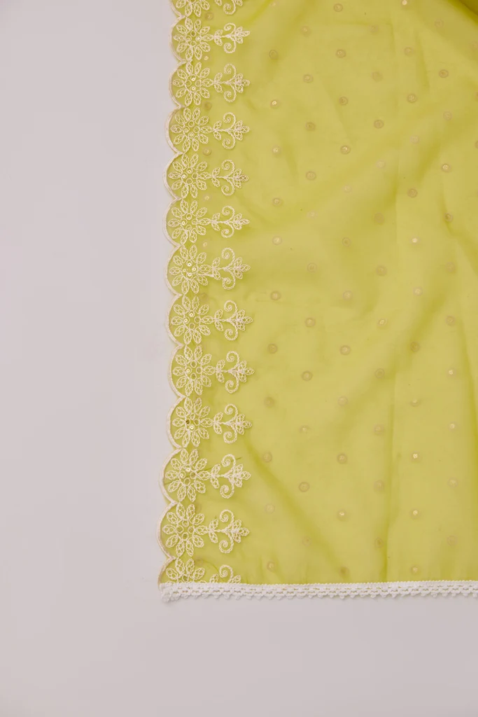 Neerus M Green Flared Emblleshied Kurta And Trousers With Dupatta - Image 7