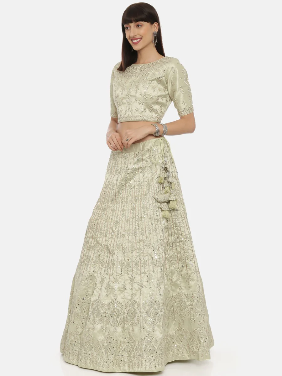 Neerus Pista Color Nett Fabric Ghagra Set - Image 2